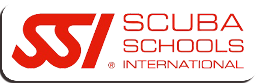 Click for SSI Course